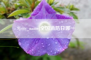曹县全国消防日哪一