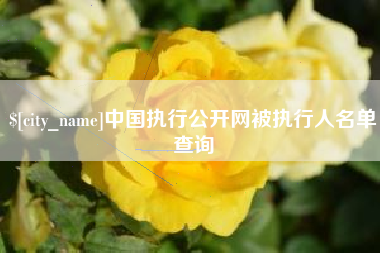 曹县中国执行公开网被执行人名单查询