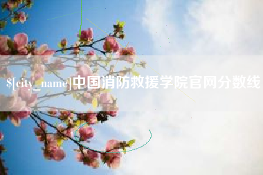 曹县中国消防救援学院官网分数线