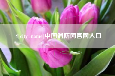 曹县中国消防网官网入口