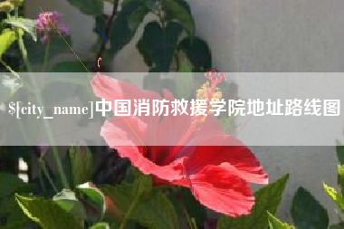 曹县中国消防救援学院地址路线图