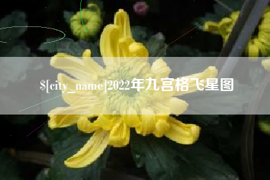 曹县2022年九宫格飞星图