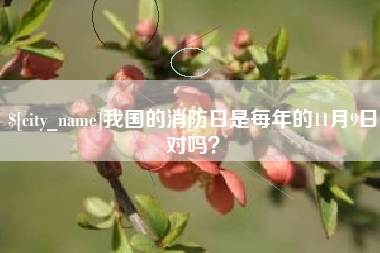 曹县我国的消防日是每年的11月9日对吗？