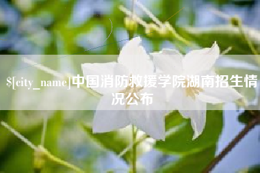 曹县中国消防救援学院湖南招生情况公布