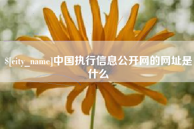 曹县中国执行信息公开网的网址是什么