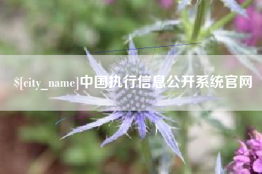 曹县中国执行信息公开系统官网