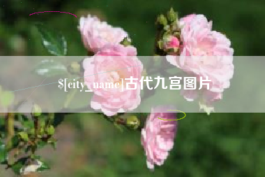 曹县古代九宫图片