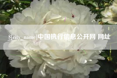 曹县中国执行信息公开网 网址