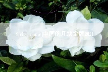 曹县中国的几块金牌2021