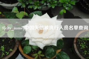 曹县中国失信被执行人员名单查询