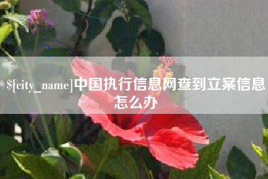 曹县中国执行信息网查到立案信息怎么办
