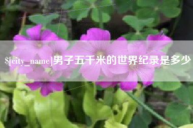 曹县男子五千米的世界纪录是多少
