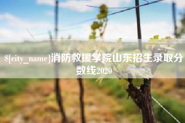 曹县消防救援学院山东招生录取分数线2020