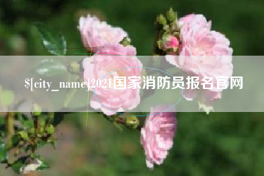 曹县2021国家消防员报名官网
