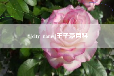 曹县王子豪百科