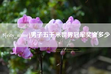 曹县男子五千米世界冠军奖金多少