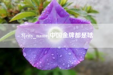 曹县中国金牌都是啥