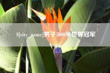 曹县男子5000米世界冠军