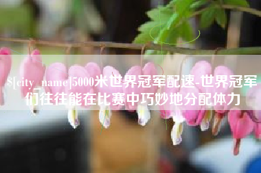 曹县5000米世界冠军配速-世界冠军们往往能在比赛中巧妙地分配体力