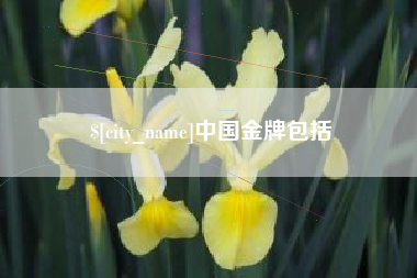 曹县中国金牌包括