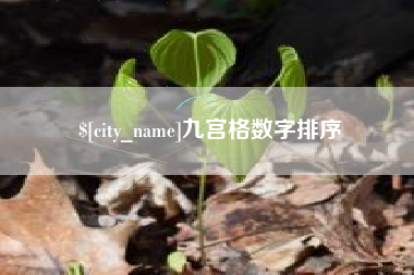 曹县九宫格数字排序