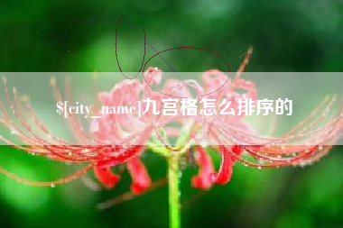 曹县九宫格怎么排序的
