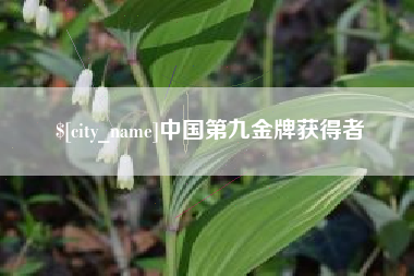 曹县中国第九金牌获得者