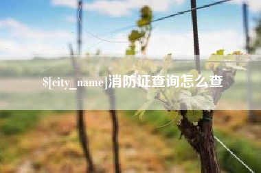 曹县消防证查询怎么查