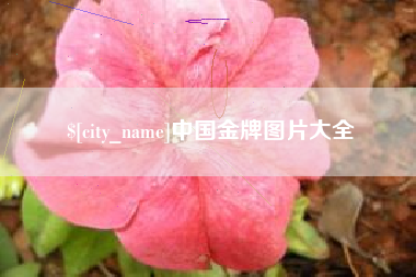 曹县中国金牌图片大全
