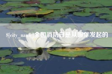 曹县全国消防日是从哪年发起的
