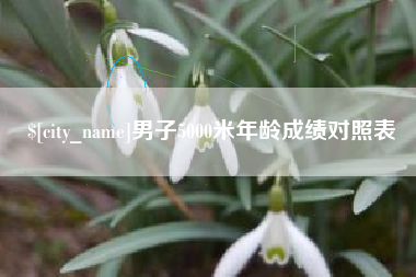 曹县男子5000米年龄成绩对照表