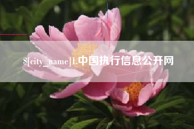 曹县1.中国执行信息公开网