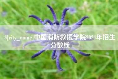 曹县中国消防救援学院2024年招生分数线