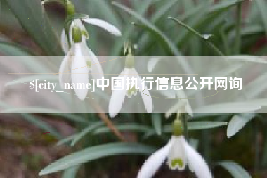 曹县中国执行信息公开网询