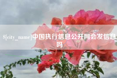 曹县中国执行信息公开网会发信息吗