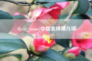 曹县中国金牌哪几项