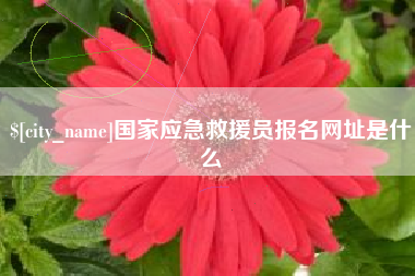 曹县国家应急救援员报名网址是什么
