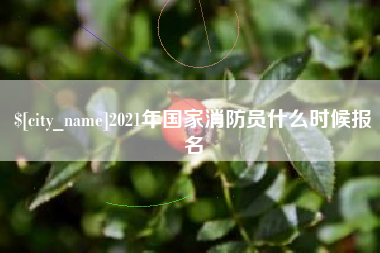 曹县2021年国家消防员什么时候报名