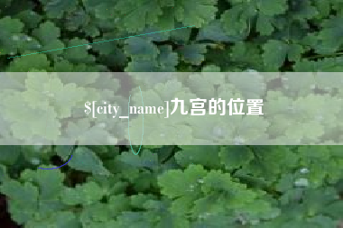 曹县九宫的位置
