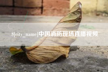 曹县中国消防现场直播视频
