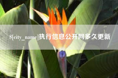 曹县执行信息公开网多久更新