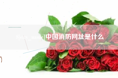 曹县中国消防网址是什么