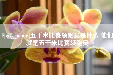 曹县五千米比赛领跑员是什么-他们就是五千米比赛领跑员
