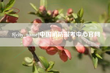 曹县中国消防报考中心官网