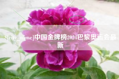曹县中国金牌榜2024巴黎奥运会最新