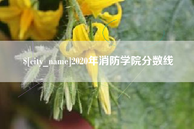 曹县2020年消防学院分数线