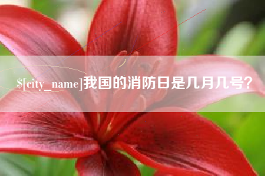 曹县我国的消防日是几月几号？