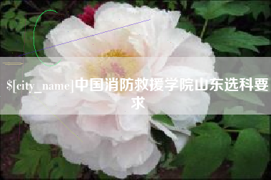 曹县中国消防救援学院山东选科要求