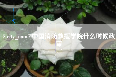 曹县中国消防救援学院什么时候政审