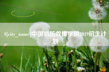 曹县中国消防救援学院2019招生计划